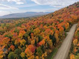 Details - Lot and land for sale (Code PR863)