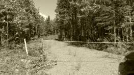 Details - Lot and land for sale (Code PR858)