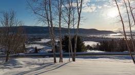 Details - Lot and land for sale (Code SP917)