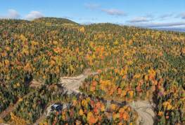Details - Lot and land for sale (Code PR871)