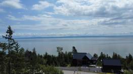 Details - Lot and land for sale (Code PR819)