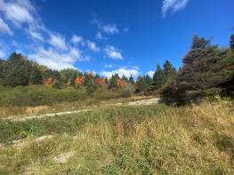 Details - Lot and land for sale (Code SS072)