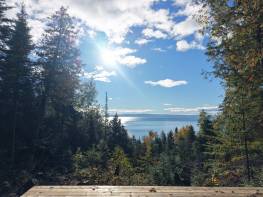 Details - Lot and land for sale (Code PR865)