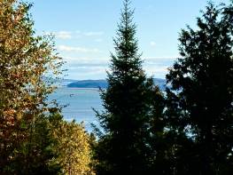 Details - Lot and land for sale (Code PR826)