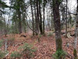 Details - Lot and land for sale (Code PR817)