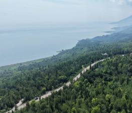 Details - Lot and land for sale (Code PR859)