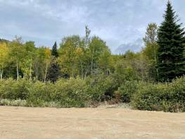 Détails - Terrain et terre à vendre (Code PR825)