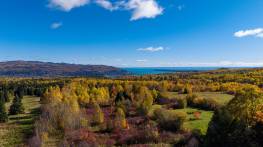Details - Lot and land for sale (Code SP942)