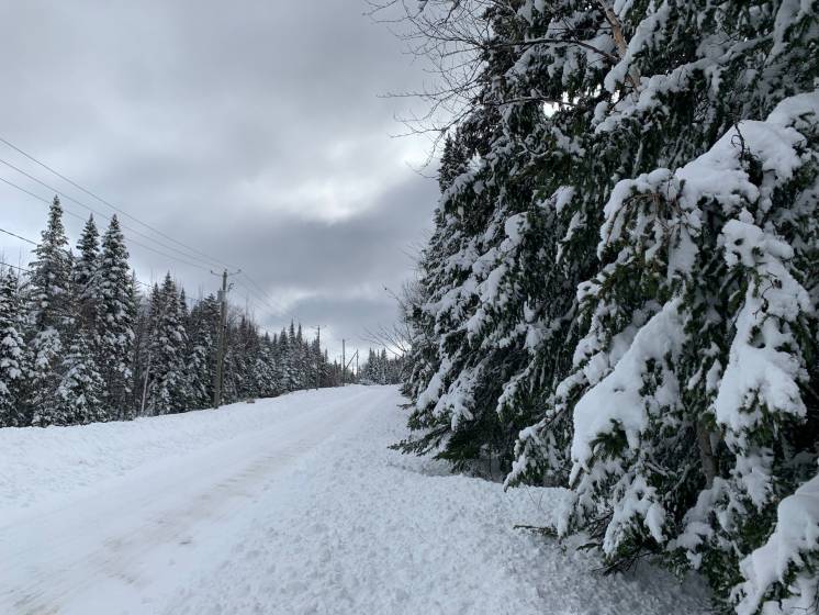 2 - Lot and land for sale, Petite-Rivière-Saint-François (Code - pr762, Charlevoix)