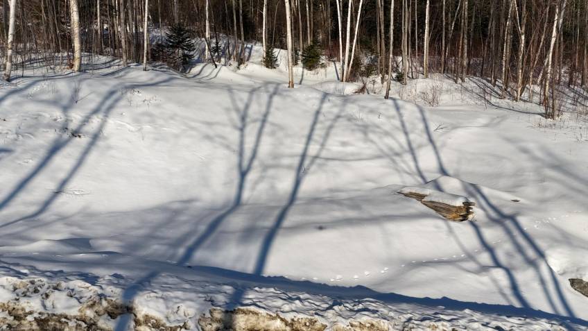 2 - Lot and land for sale, Baie-Saint-Paul (Code - sp916, Charlevoix)