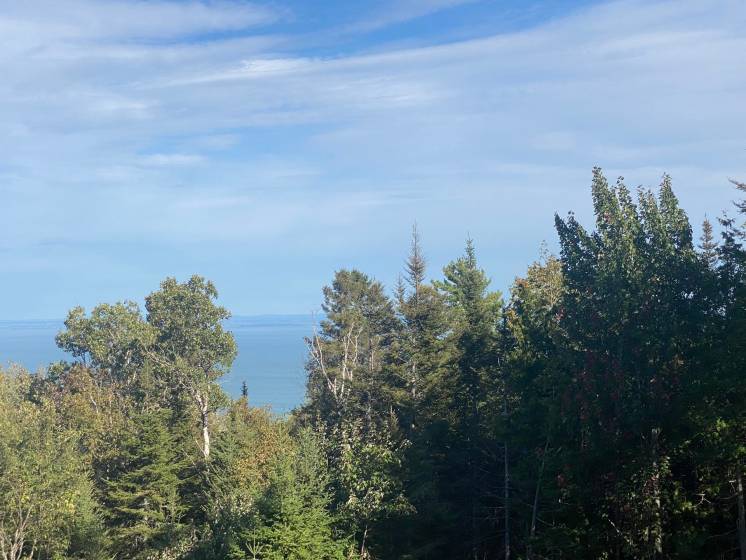 34 - Maison à vendre, Saint-Irénée (Code - si178, Charlevoix)