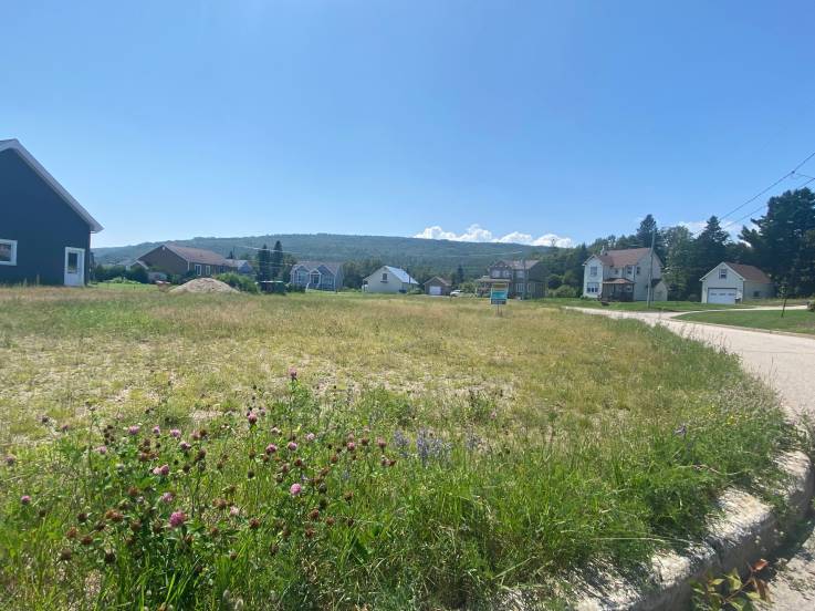 Terrain et terre à vendre - Saint-Irénée, Charlevoix (SI168)