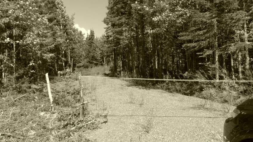 1 - Lot and land for sale, Petite-Rivière-Saint-François (Code - pr858, Charlevoix)