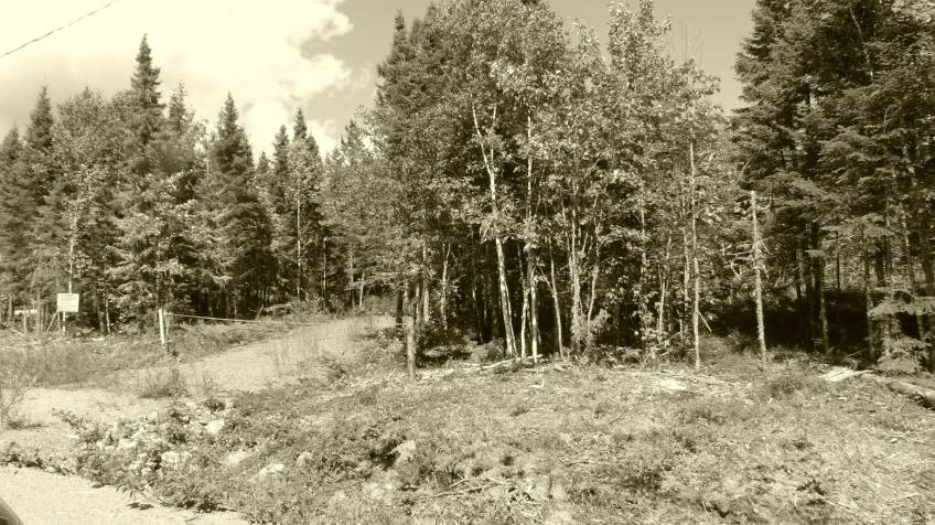 2 - Lot and land for sale, Petite-Rivière-Saint-François (Code - pr858, Charlevoix)