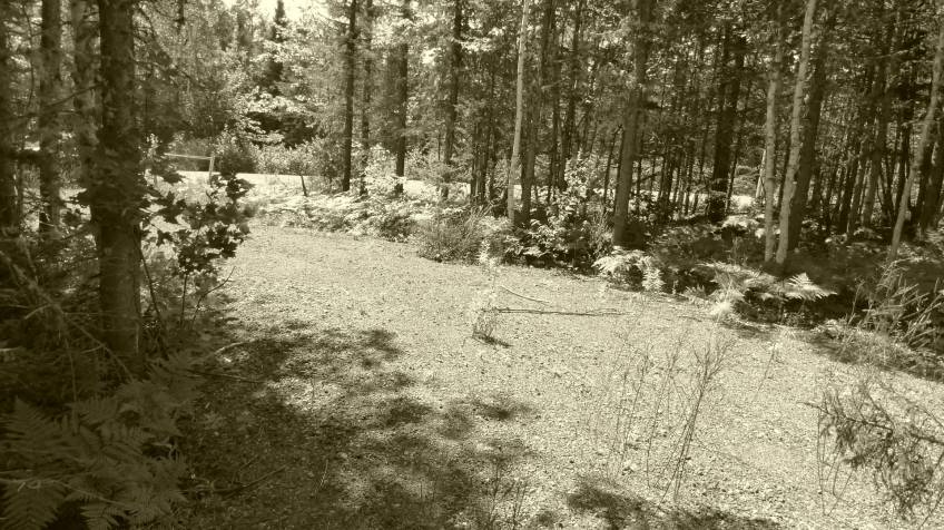 3 - Lot and land for sale, Petite-Rivière-Saint-François (Code - pr858, Charlevoix)