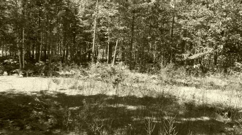 5 - Lot and land for sale, Petite-Rivière-Saint-François (Code - pr858, Charlevoix)