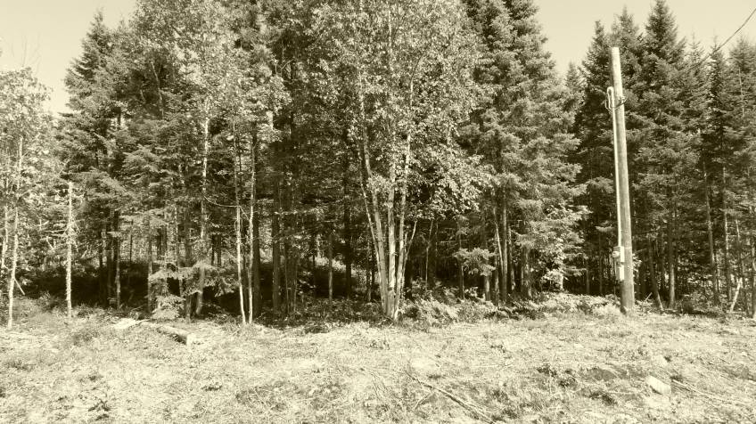 6 - Lot and land for sale, Petite-Rivière-Saint-François (Code - pr858, Charlevoix)