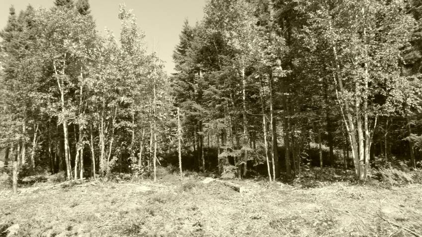 7 - Lot and land for sale, Petite-Rivière-Saint-François (Code - pr858, Charlevoix)