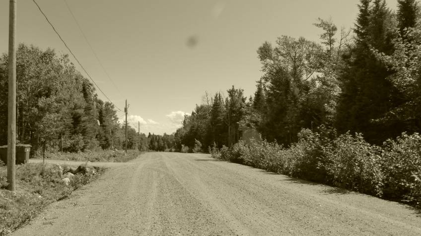 9 - Lot and land for sale, Petite-Rivière-Saint-François (Code - pr858, Charlevoix)