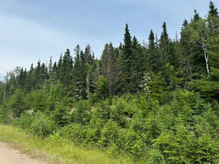 1 - Lot and land for sale, Les Éboulements (Code - eb293, Charlevoix)