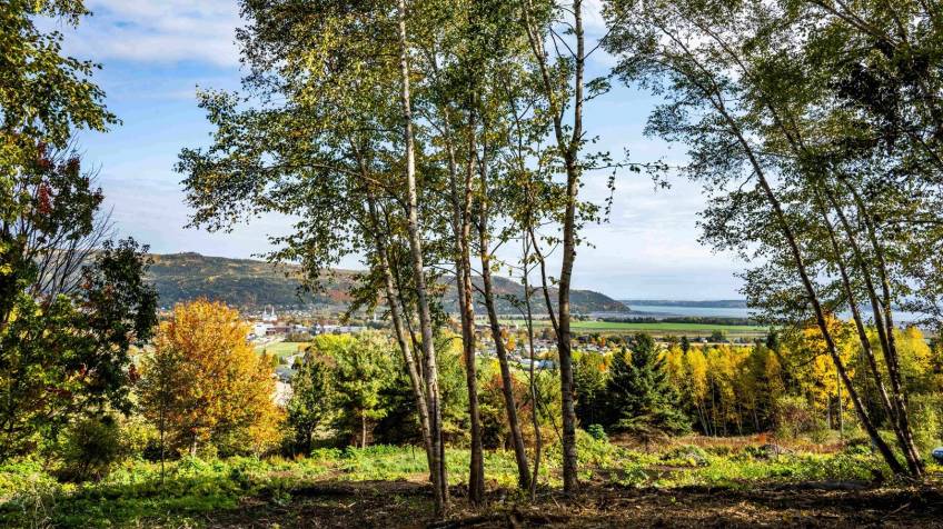 2 - Lot and land for sale, Baie-Saint-Paul (Code - sp917, Charlevoix)