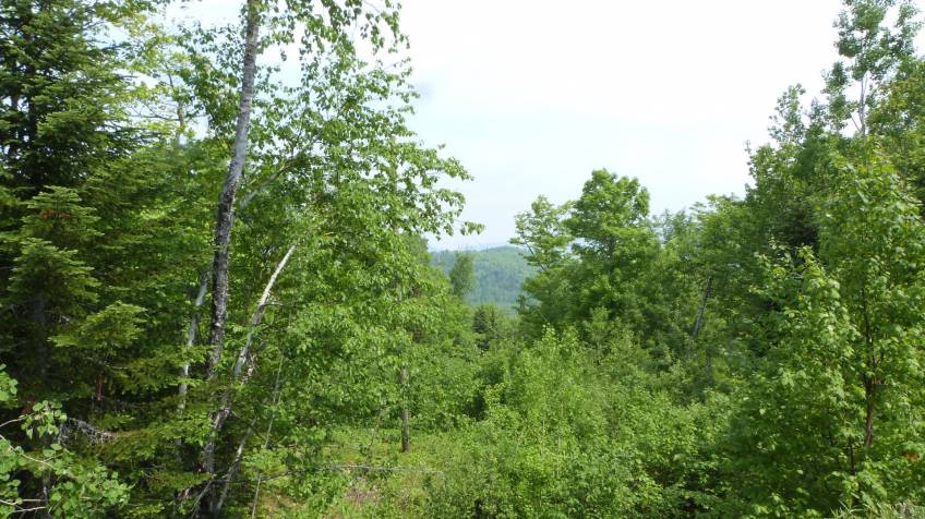 1 - Terrain et terre à vendre, Petite-Rivière-Saint-François (Code - pr812, Charlevoix)