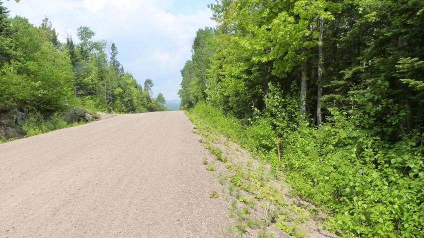 2 - Terrain et terre à vendre, Petite-Rivière-Saint-François (Code - pr812, Charlevoix)