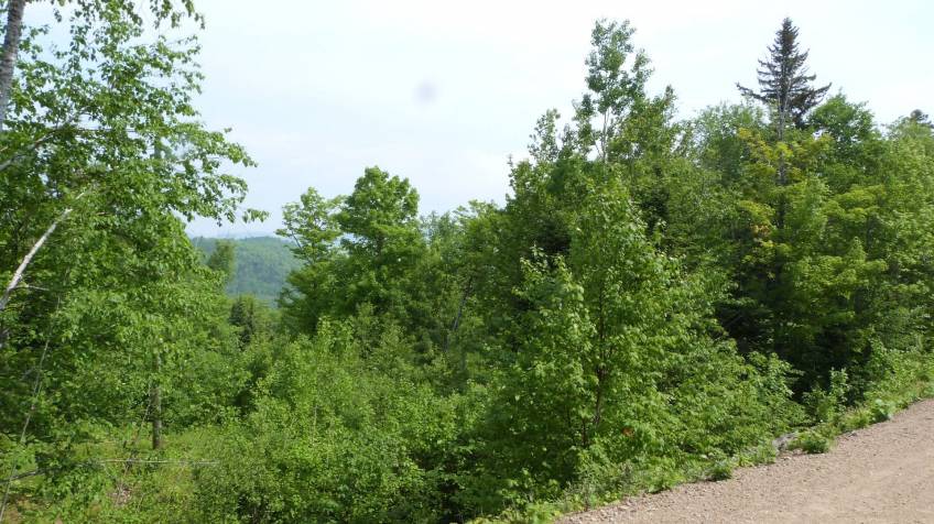 4 - Terrain et terre à vendre, Petite-Rivière-Saint-François (Code - pr812, Charlevoix)
