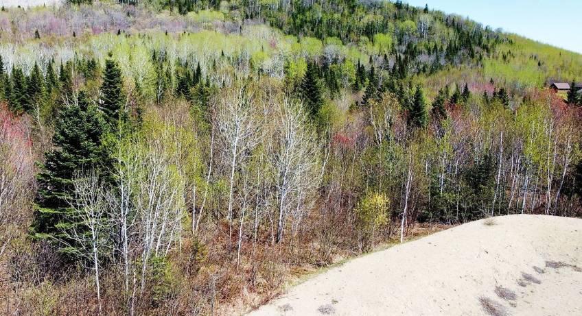 2 - Lot and land for sale, Petite-Rivière-Saint-François (Code - pr818, Charlevoix)