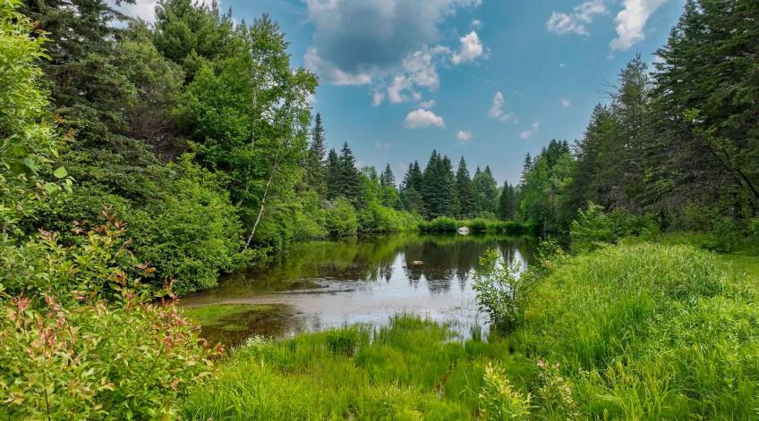19 - House for sale, Baie-Saint-Paul (Code - sp932, Charlevoix)