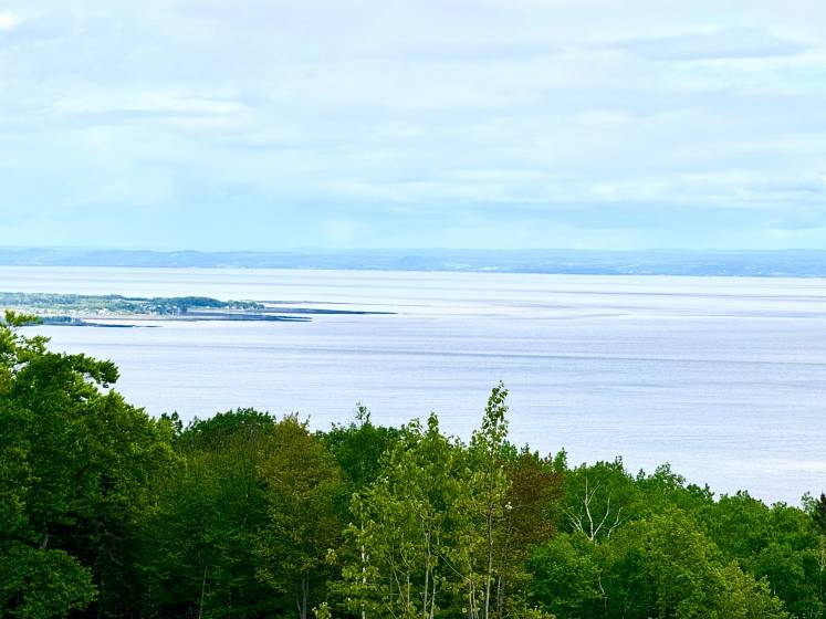 1 - Terrain et terre à vendre, Petite-Rivière-Saint-François (Code - pr811, Charlevoix)