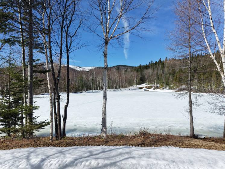 5 - Lot and land for sale, Baie-Saint-Paul (Code - sp924, Charlevoix)