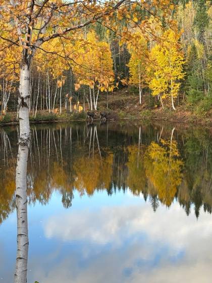 9 - Lot and land for sale, Baie-Saint-Paul (Code - sp924, Charlevoix)