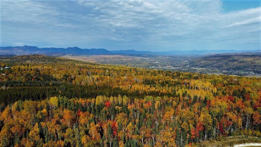 24 - House for sale, Saint-Urbain (Code - su081, Charlevoix)