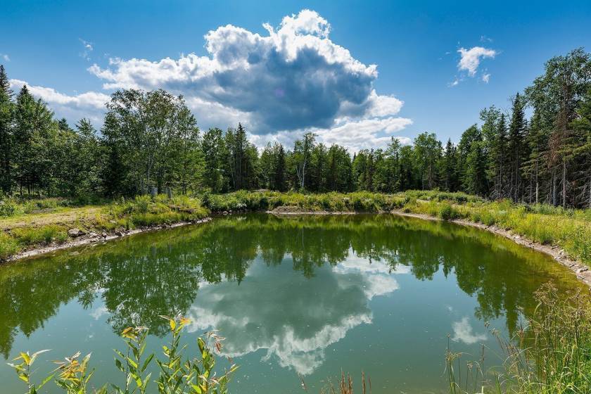 32 - Maison à vendre, Saint-Urbain (Code - su081, Charlevoix)