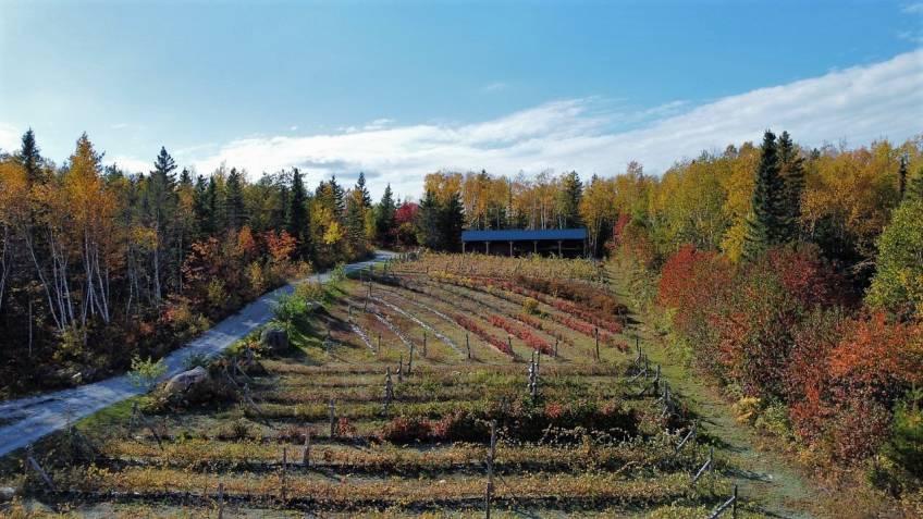 32 - House for sale, Saint-Urbain (Code - su081, Charlevoix)