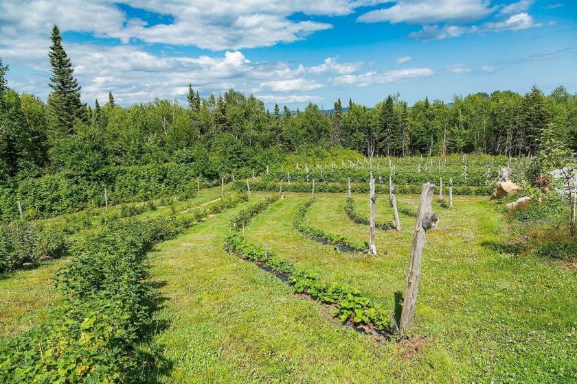 34 - House for sale, Saint-Urbain (Code - su081, Charlevoix)