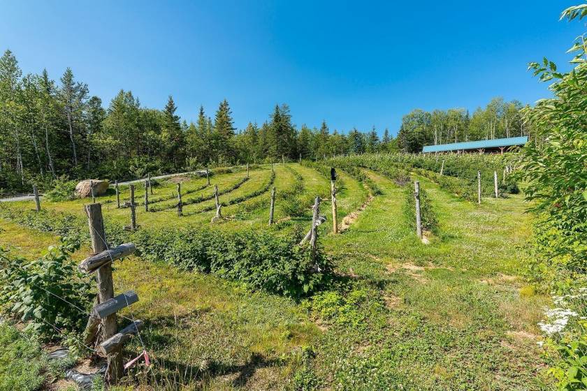 35 - House for sale, Saint-Urbain (Code - su081, Charlevoix)