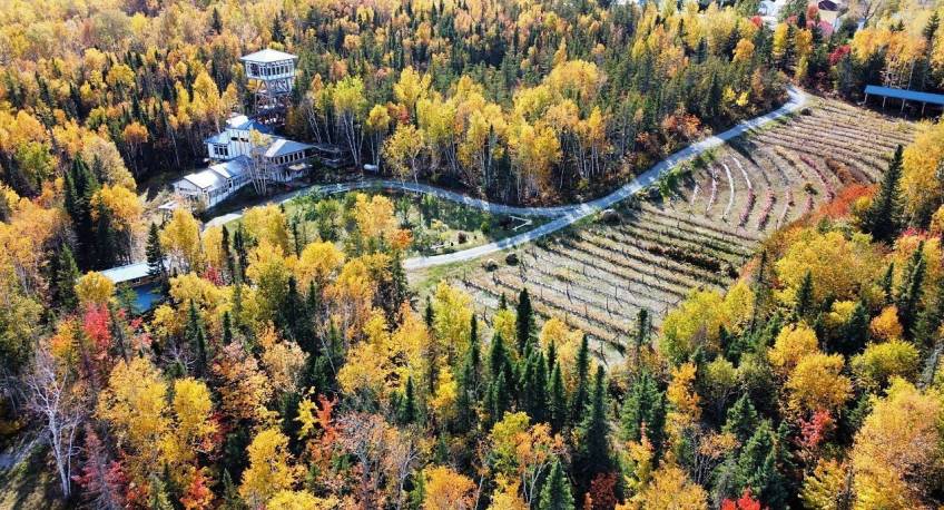 40 - House for sale, Saint-Urbain (Code - su081, Charlevoix)