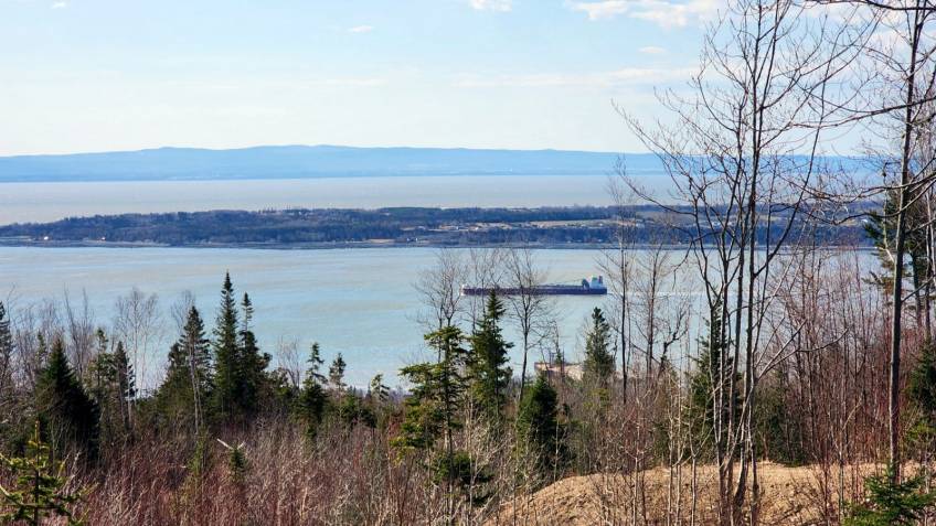 1 - Terrain et terre à vendre, Les Éboulements (Code - eb335, Charlevoix)