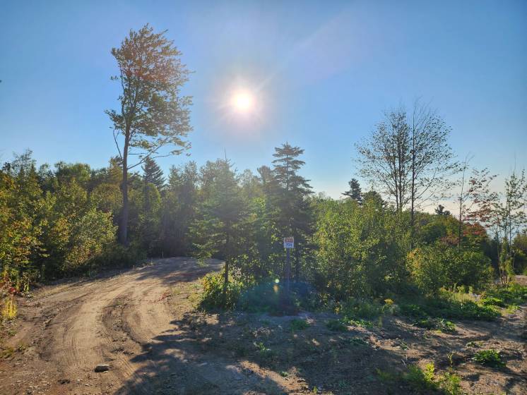 3 - Terrain et terre à vendre, Les Éboulements (Code - eb335, Charlevoix)