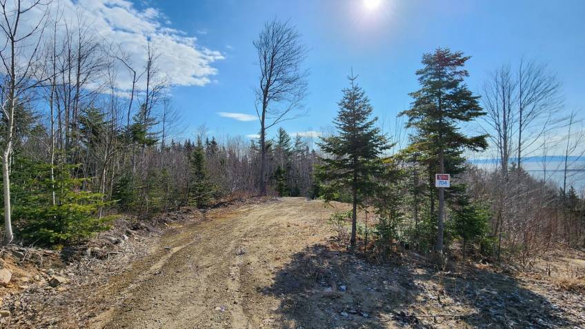 4 - Terrain et terre à vendre, Les Éboulements (Code - eb335, Charlevoix)