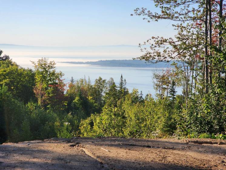 6 - Terrain et terre à vendre, Les Éboulements (Code - eb335, Charlevoix)