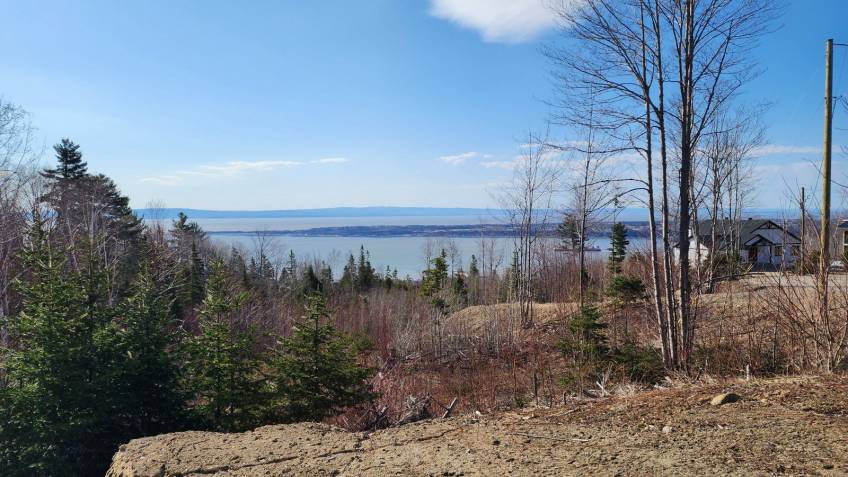 8 - Terrain et terre à vendre, Les Éboulements (Code - eb335, Charlevoix)