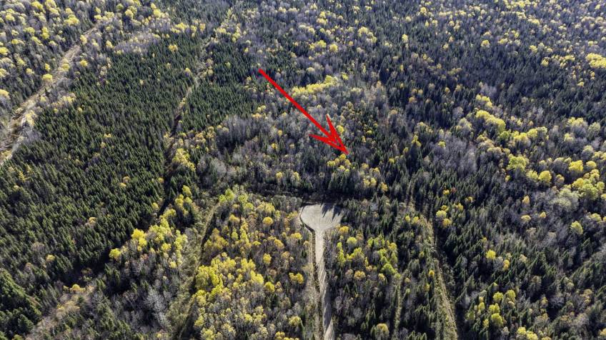 9 - Lot and land for sale, La Malbaie (Code - mb421, Charlevoix)