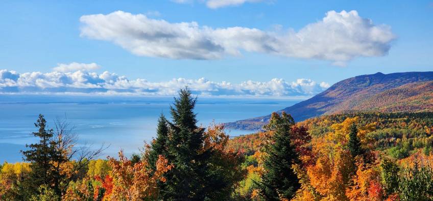 3 - Condo for sale, Petite-Rivière-Saint-François (Code - pr786, Charlevoix)