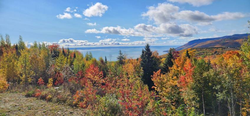 30 - Condo for sale, Petite-Rivière-Saint-François (Code - pr786, Charlevoix)