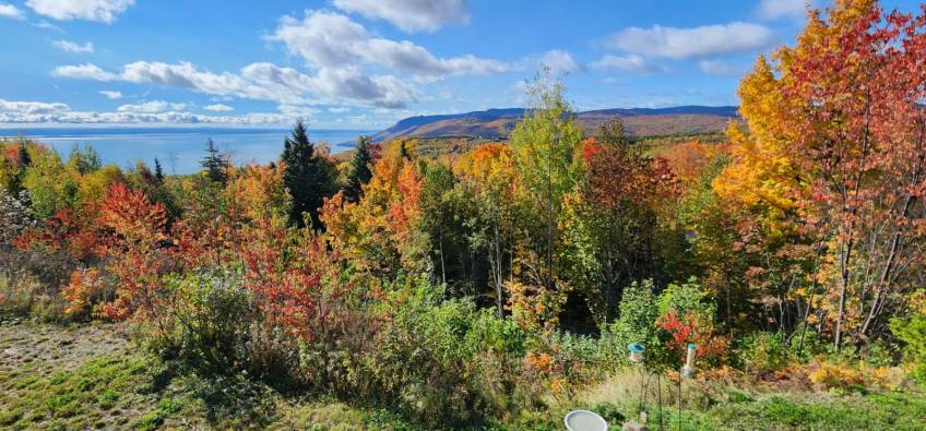 31 - Condo for sale, Petite-Rivière-Saint-François (Code - pr786, Charlevoix)