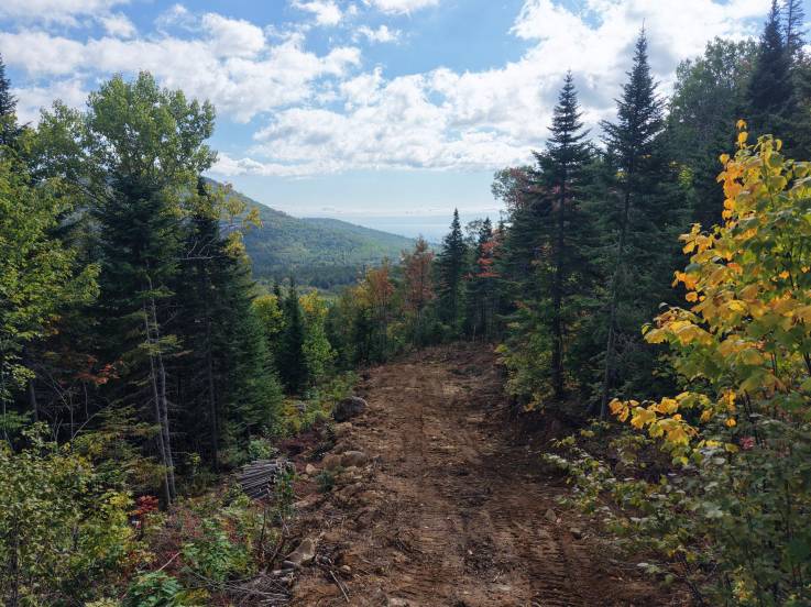 Lot and land for sale - Petite-Rivière-Saint-François, Charlevoix (PR869)