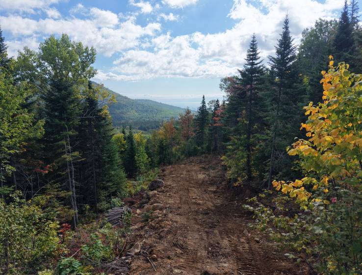 1 - Lot and land for sale, Petite-Rivière-Saint-François (Code - pr869, Charlevoix)